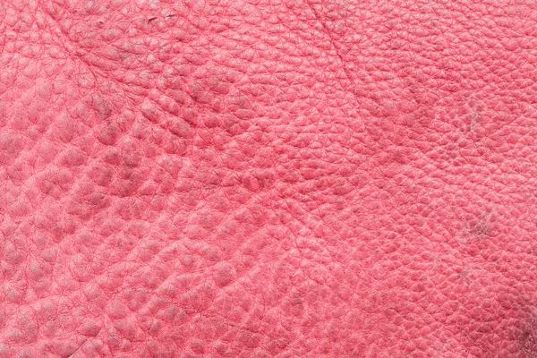 Pink leather background — Stock Photo, Image