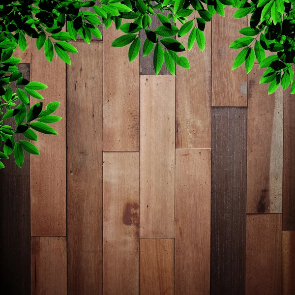 Leaves and wood — Stock Photo, Image