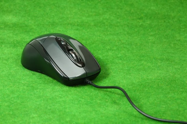 Computador rato no fundo grama — Fotografia de Stock