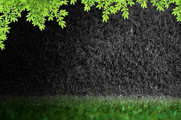 Gras und Blattwerk — Stockfoto