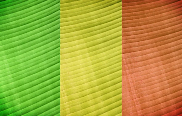 stock image Banana leaf-Reggae background