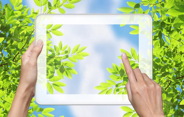 손 터치 태블릿 pc입니다. 잎 화면 — 스톡 사진