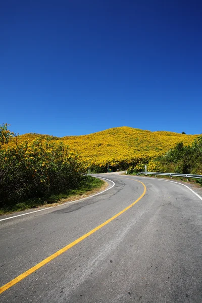 stock image Road to hill