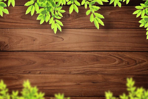 Wood and leaf — Stock Photo, Image