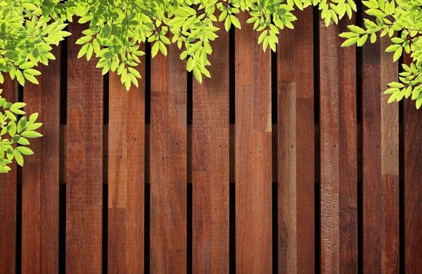 Blatt über Holzwand — Stockfoto