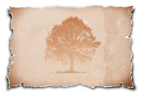 Symbol drzewa na papierze z recyklingu. — Zdjęcie stockowe