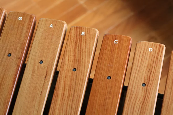 Xylophone en bois — Photo