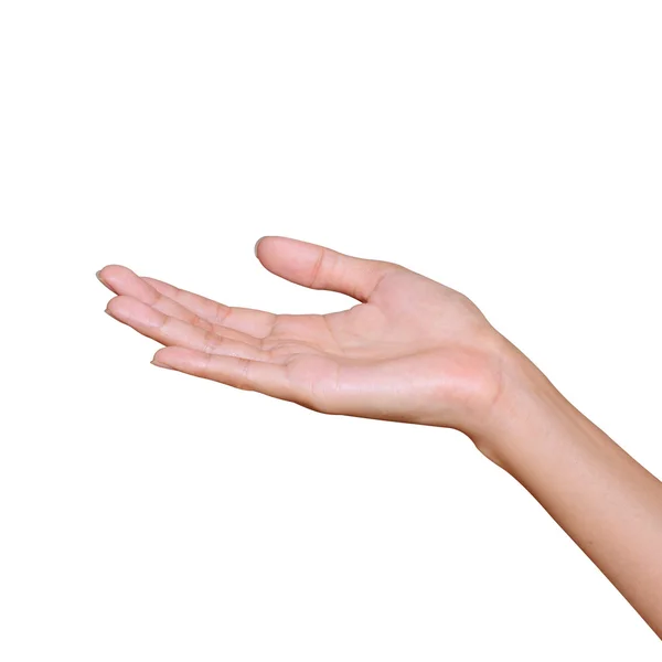 Hand Concept — Stock Photo, Image