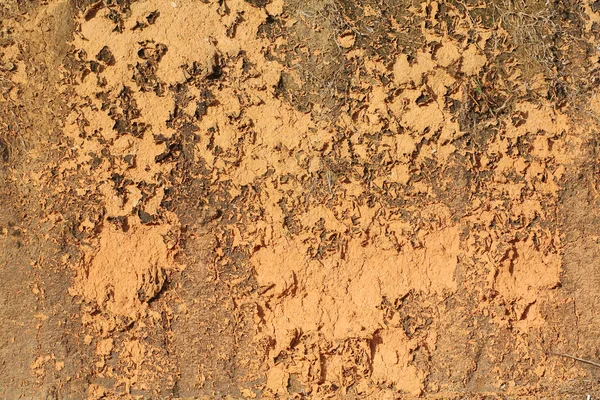 Старая треснутая структура почвы с сухой соломой — стоковое фото