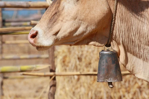 Stock image Cowbell