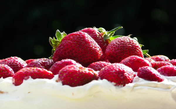 stock image Swedish Strawberry Cake