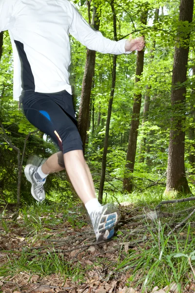 Trail runner — Stock Photo, Image