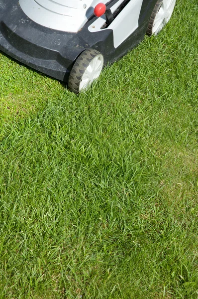 Mowing the lawn — Stock Photo, Image