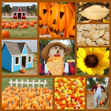 Fall collage clipart