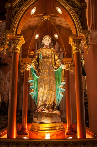 Mooie standbeeld maria in kerk — Stockfoto