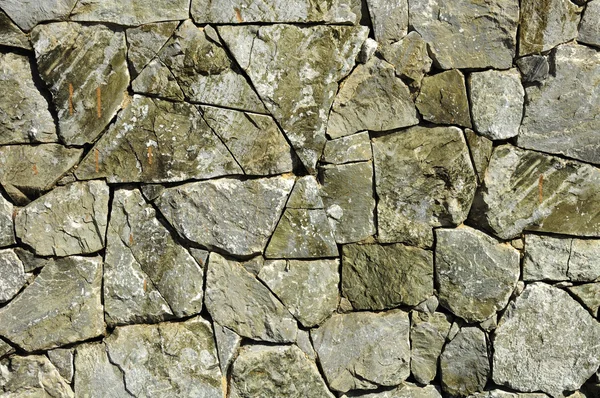 stock image Stone pattern