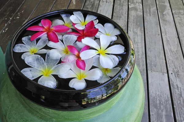 Flower spa — Stock Photo, Image