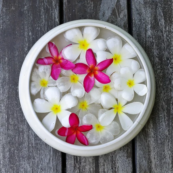 stock image Flower spa