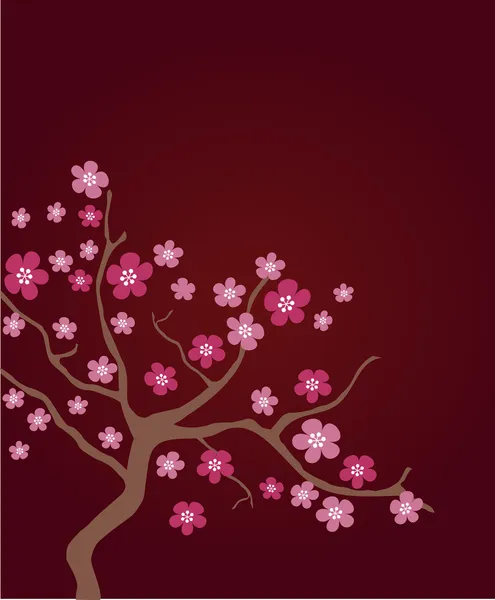 Cherry blossom in spring time — Stock Vector