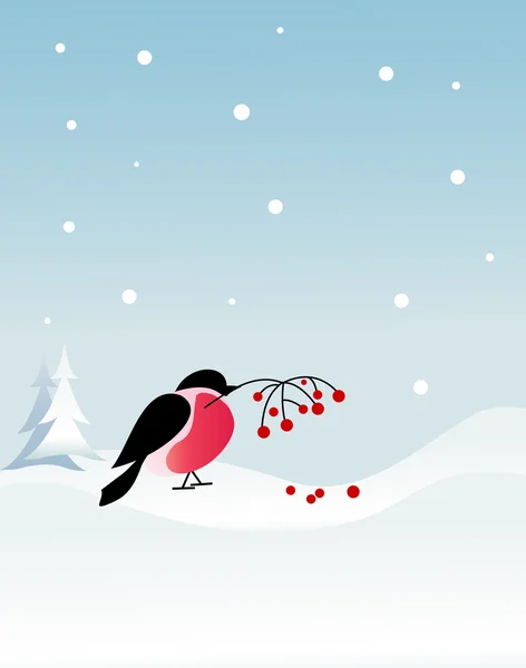 布尔芬奇鸟冬天背景上 — 图库矢量图片