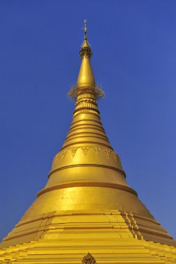 Gold Monastery in Lumbini, Nepal clipart