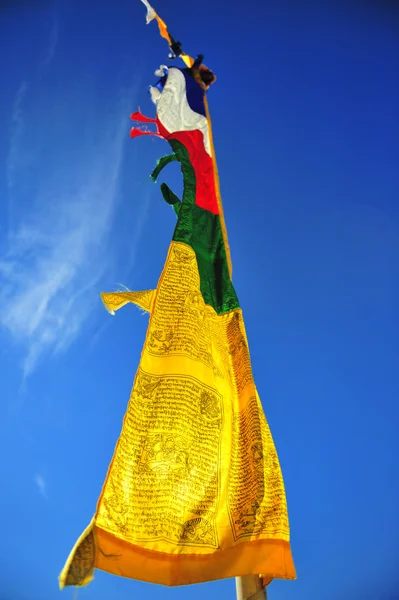 stock image Prayer Budhist flag in the sky