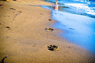 Kumda ayak izleri