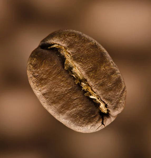 Крупним планом одна кавова квасоля на коричневому фоні Ліцензійні Стокові Зображення