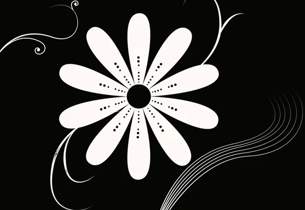 Eleonora flor sobre fondo negro — Foto Stock