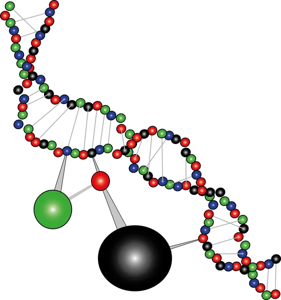 stock vector DNA structure