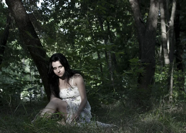 Дівчина в лісі — стокове фото