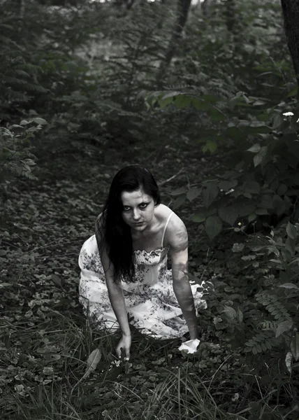La chica en el bosque — Foto de Stock