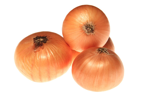 Onions on white