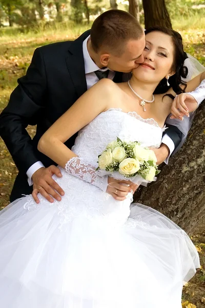 Noivo beijando uma noiva — Fotografia de Stock