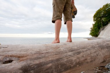 Beach outlook clipart