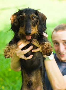 dachshund yüksek tutuluyor