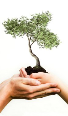 Hands Holding Tree clipart