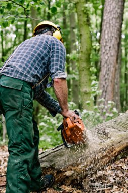 Lumberjack working with chainsaw clipart