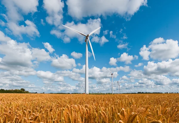 Wind turbines in wheat field — Stock Photo, Image