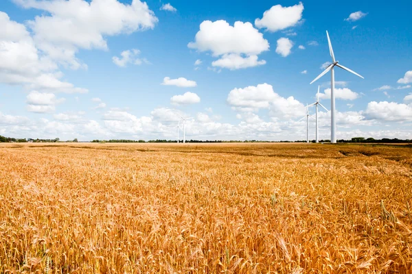 Turbinas eólicas no campo de trigo — Fotografia de Stock
