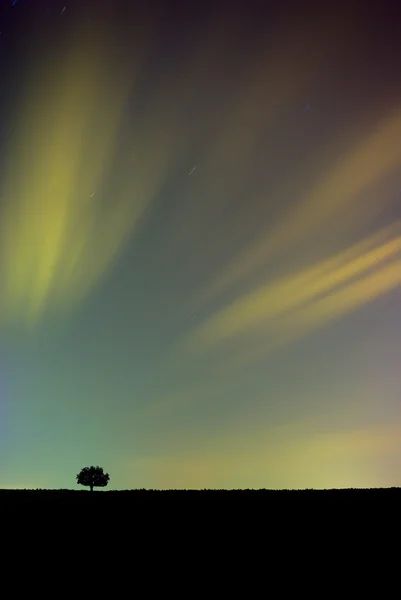 Cielo nocturno colorido con árbol — Foto de Stock