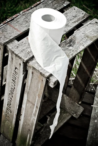 Rulou de hârtie igienică veche — Fotografie, imagine de stoc