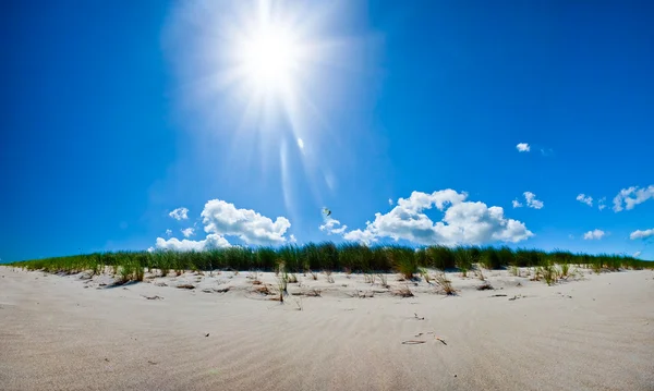 Bright sun over beach — Stock Photo, Image