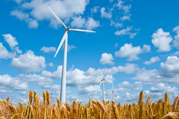 Turbina eólica en campo de trigo Imagen de stock