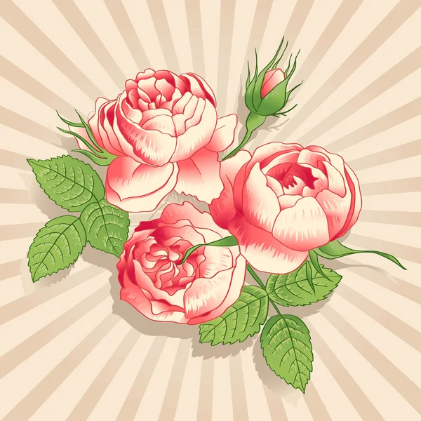 Les pivoines roses sur le fond clair — Image vectorielle