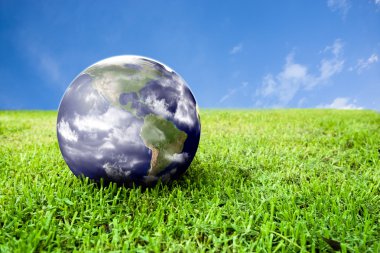 Earth in beautiful green grass clipart