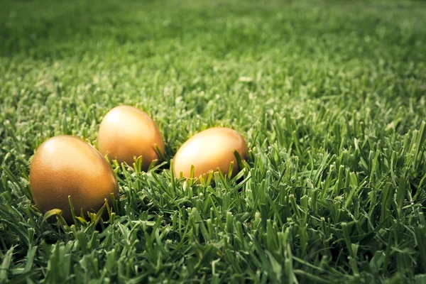 stock image Big golden eggs on the grass to represent wealth and luck