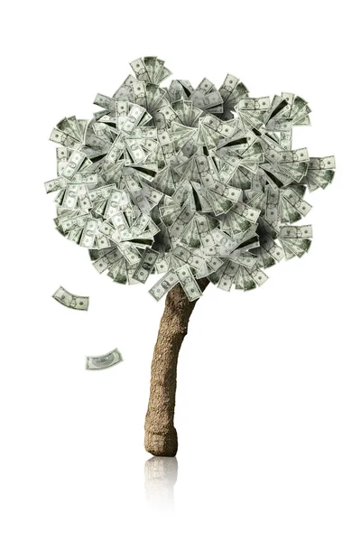 Incrível árvore de dinheiro isolado com folhas caindo — Fotografia de Stock
