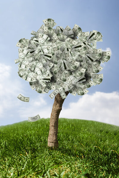 Amazing money tree on grass with falling leaves