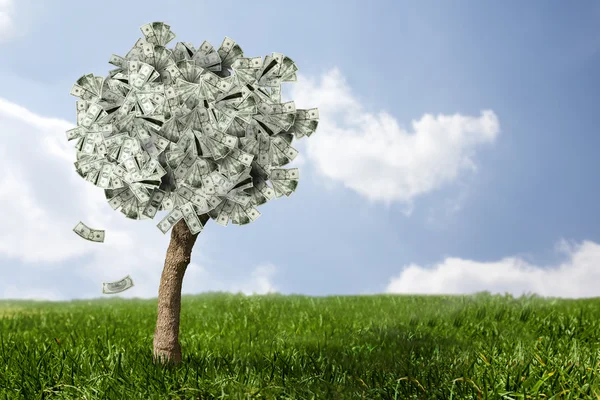 Amazing money tree on grass with falling leaves — Stock Photo, Image